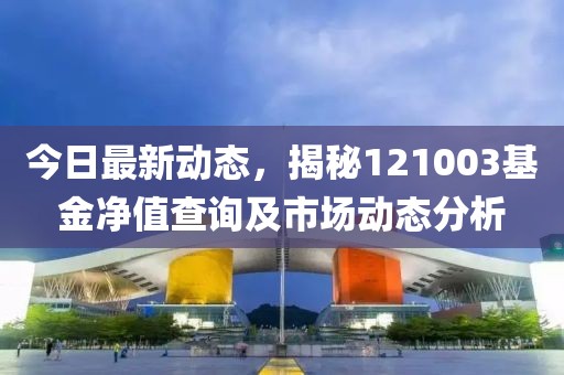 今日最新动态，揭秘121003基金净值查询及市场动态分析