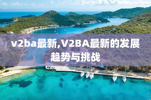 v2ba最新,V2BA最新的发展趋势与挑战