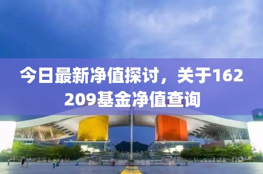 今日最新净值探讨，关于162209基金净值查询