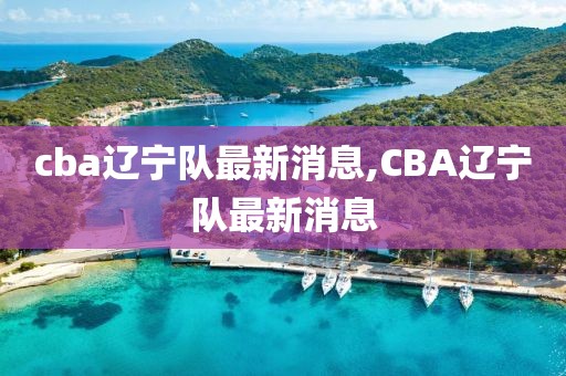 cba辽宁队最新消息,CBA辽宁队最新消息