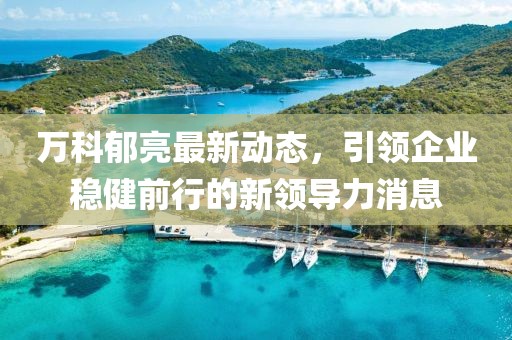 万科郁亮最新动态，引领企业稳健前行的新领导力消息