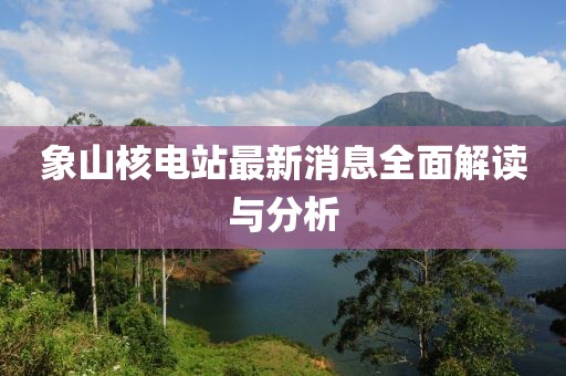 象山核电站最新消息全面解读与分析