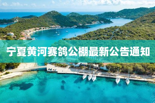 宁夏黄河赛鸽公棚最新公告通知