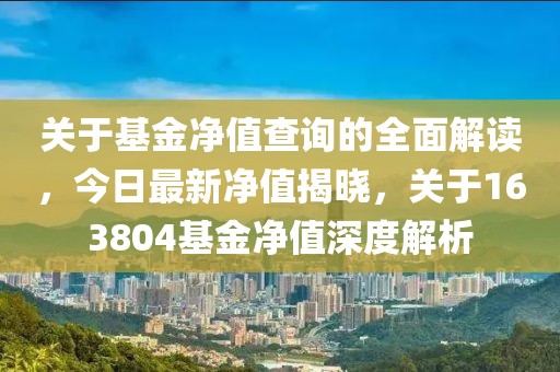 关于基金净值查询的全面解读，今日最新净值揭晓，关于163804基金净值深度解析