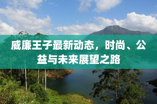 威廉王子最新动态，时尚、公益与未来展望之路