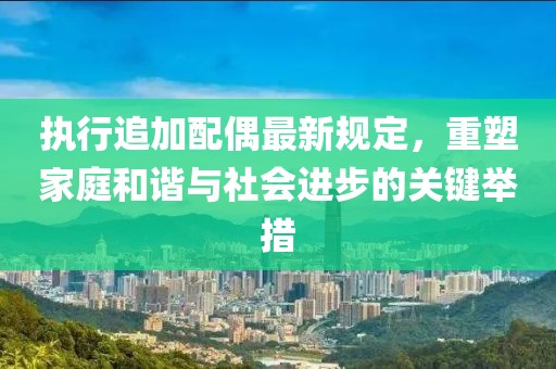 执行追加配偶最新规定，重塑家庭和谐与社会进步的关键举措