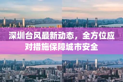 深圳台风最新动态，全方位应对措施保障城市安全