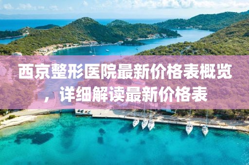 西京整形医院最新价格表概览，详细解读最新价格表