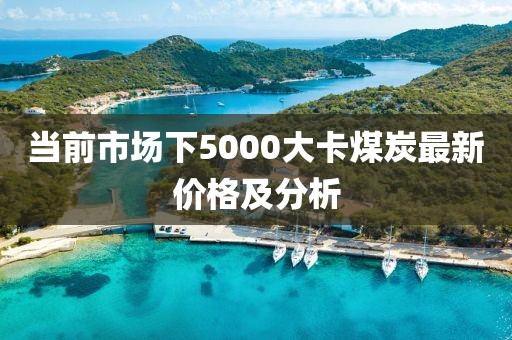 当前市场下5000大卡煤炭最新价格及分析