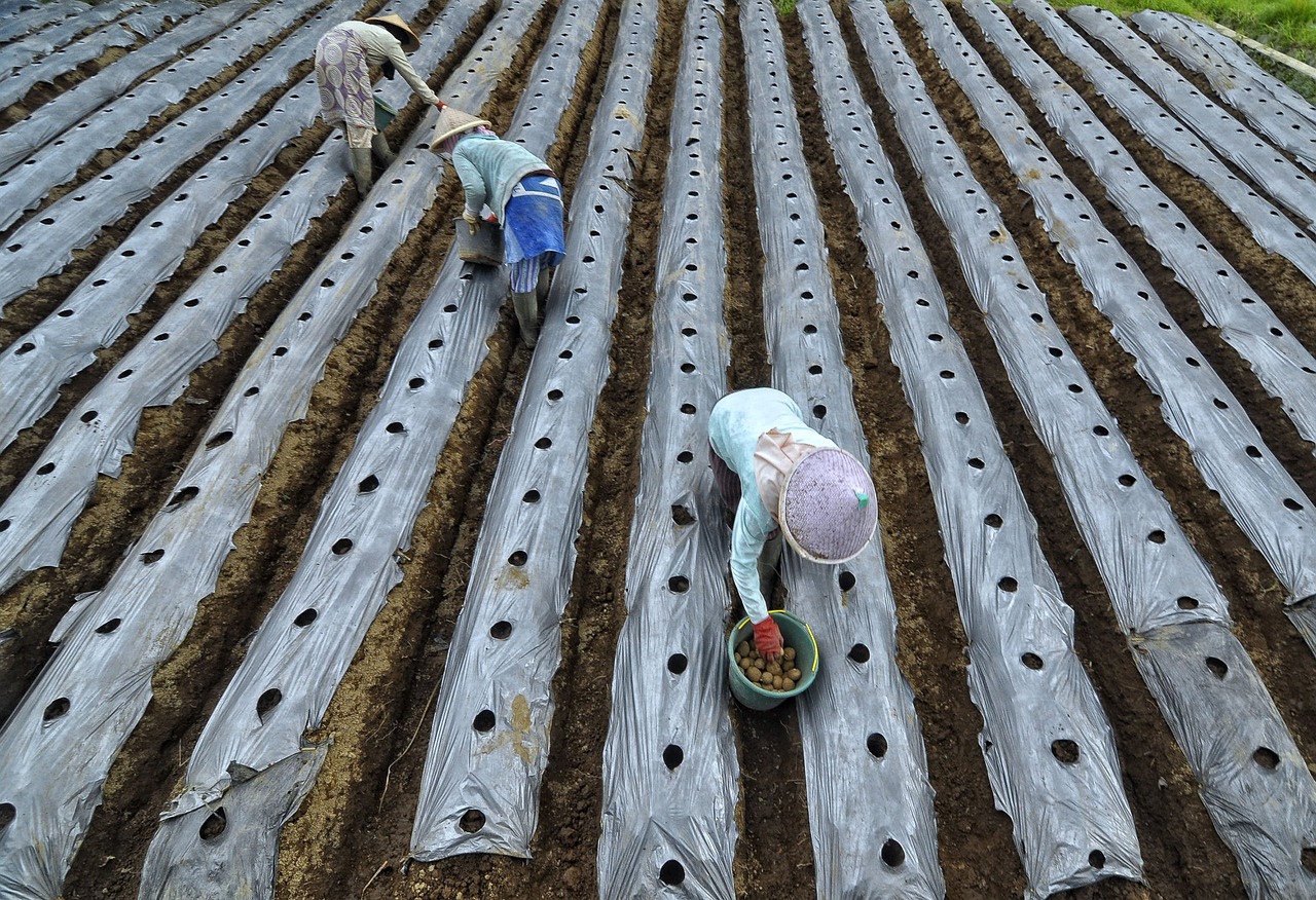 最新土地管理法下的土地管理与利用改革探讨